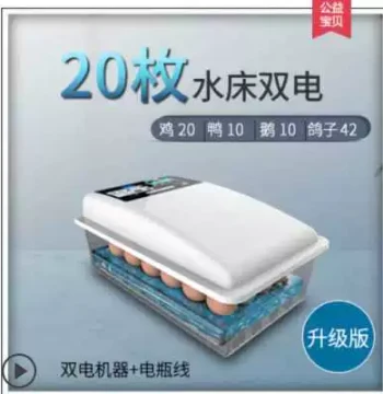 Fast New Arrival Egg Incubator Home Use Fully Automatic Small Mini Waterbed Hatching Box