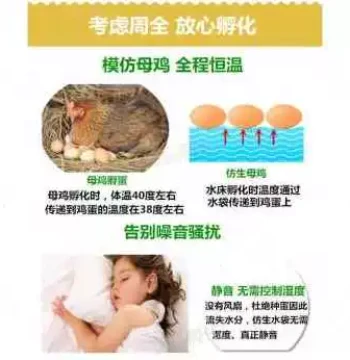 Fast New Arrival Waterbed Incubator for Home Use - Chicken, Duck, Goose Egg Hatcher (55 or 90 Eggs)