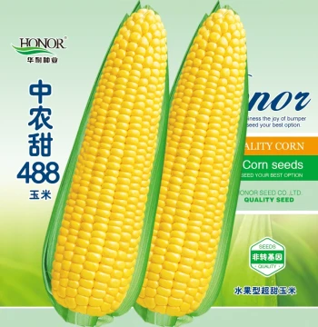Zhongnong Tian 488 Super Sweet Fruit Corn Seeds Sticky Sweet Corn Year-Round Spring Planting Hezhiyuan Seeds