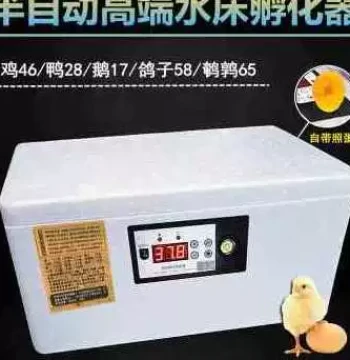 High-Speed New Factory Sale - Smart Automatic Mini Home Incubator for Chicken, Duck, Goose, and Pigeon Eggs with Temperature Control