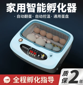 Fully Automatic Small Incubator for Home Use, Smart Mini Egg Incubator for Ducks, Chickens, Geese, and Birds - New Arrival