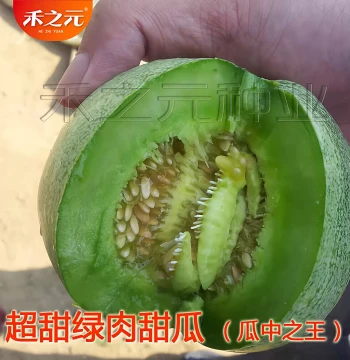 Emerald Horned Honeydew Melon Seeds Fragrant Melon Seedlings High Yield Super Sweet Year-Round Spring Planting Watermelon Seedlings