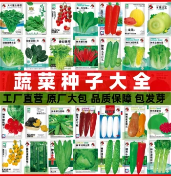 Vegetable Seeds for Year-Round Planting: Chili, Watermelon, Coriander, Spinach, Green Beans, Tomato, Bitter Melon