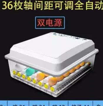 High-Speed Mini Incubator, Fully Automatic Small Egg Hatcher for Chickens, Ducks, Geese, Pigeons, and Quails for Home Use