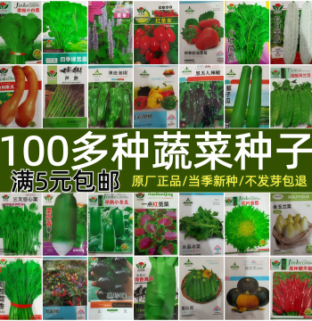 Complete Four-Season Vegetable Seed Collection - Farm Garden Greens, Spinach, Spring Chili, Summer/Autumn Cabbage, and Radish