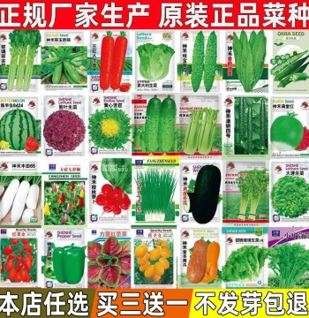 Vegetable Seeds Four-Season Planting Potted Balcony Courtyard Coriander Lettuce Cucumber Watermelon Pumpkin Spring Vegetable Seed Collection