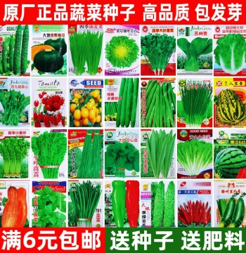 Complete Seasonal Vegetable Seeds Collection Home Garden Cucumber Bean Tomato Pepper Spring Summer Fruit and Vegetable Seeds