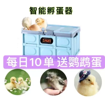 Compact Home Automatic Smart Egg Incubator for Chickens, Ducks, Geese, Pigeons – Mini Hatching Machine and Box