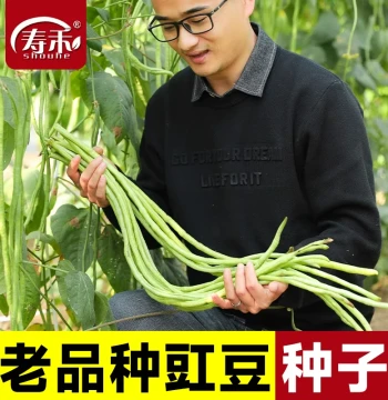 Long Bean Seeds: Complete Variety Pack Including Cowpea, Kidney Bean, Green Bean, Flat Bean; Trellis-Free Seedlings