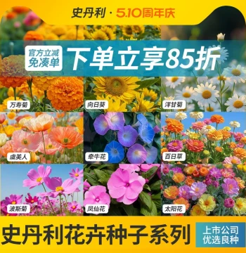 Stanley Flower Seeds Assortment: Year-Round Blooming Sunflowers, Balsam, and Poppies for Outdoor Gardens