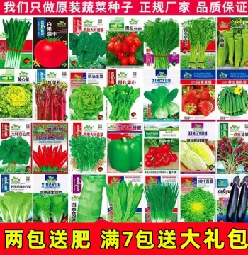 Complete Vegetable Seed Collection - Fan Special Offer, Suitable for All Seasons (Watermelon, Melon, Cucumber, Tomato) for Home Balcony or Open Field Planting