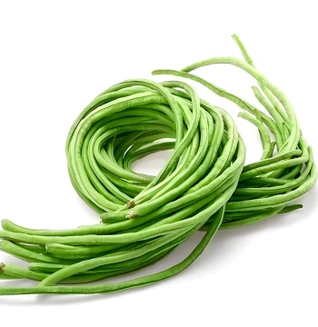 Fangzhen 'Unbeatable Harvest' Cowpea Seeds - Long Green Striped Beans, Easy to Grow for Spring/Autumn Gardens and Year-Round Harvest