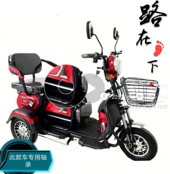 Tricycle Slide Bearings - Leisure Tricycle Slide Bearings for Elderly Users