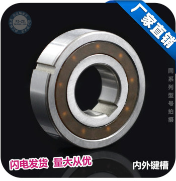 One-Way Bearing CSK8/10/CSK12/15/17/CSK20/25/30/35/40PP with Inner and Outer Grooves