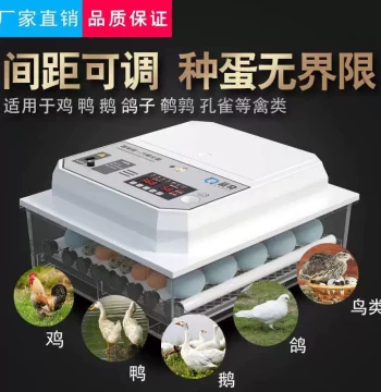 [110V Only] Mini Household Fully Automatic Incubator for Chickens, Ducks, Geese, Pigeons; Egg Hatching Machine and Box