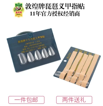 Pipa Finger Picks Celluloid Artificial Nails for Adults and Beginners
