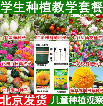 Seed Mix: Pearl Tomatoes, Colorful Balsam, Teddy Bear Sunflowers, Zinnias, Eggplant, Toy Pumpkins, and Colorful Peppers