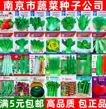 Premium Vegetable Seed Collection for Year-Round Planting - Ideal for Farm Gardens & Pots, Includes Greens & Melons for Spring/Summer