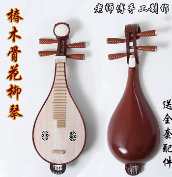 Professional Liuqin – Rosewood & Redwood Traditional Chinese Instrument with Accessories, Direct from Manufacturer