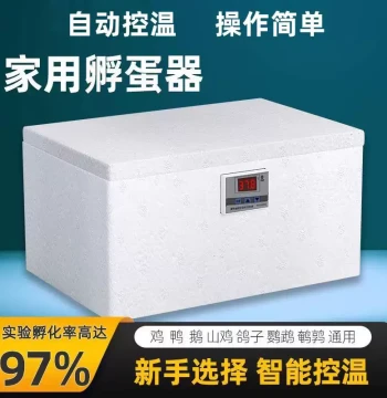 Home Small Incubator - Automatic Constant Temperature Hatcher, Water Bed Egg Incubator for Chickens, Ducks, Geese, Pigeons, Quails, Includes Teaching and Guarantee