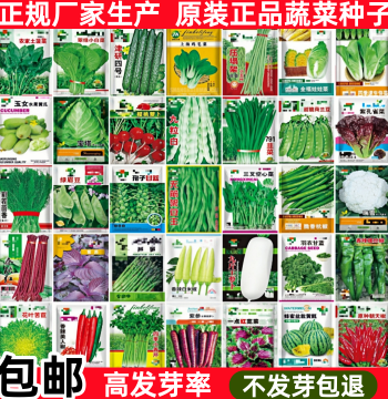 Year-Round Vegetable Seed Kit for Balcony Pots – Includes Cilantro, Scallions, Lettuce, Cucumber, Tomato, and Beans for Spring/Summer Planting