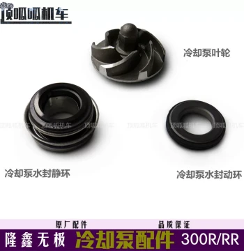 Loncin Voge 300R/300RR Cooling Pump Water Seal, Static Ring, Dynamic Ring, and Impeller - Original Engine Parts