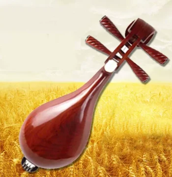 Fanchao Brand Handcrafted Liuqin Folk Plucked Instrument Made of Rosewood with Copper and Bone Inlays, Includes Picks, Strings, and Case