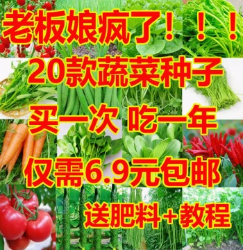 Complete Vegetable Seed Collection - Four-Season Planting for Pots, Balconies, Farms, and Courtyards (Chives, Chili Peppers, Lettuce, Cilantro)
