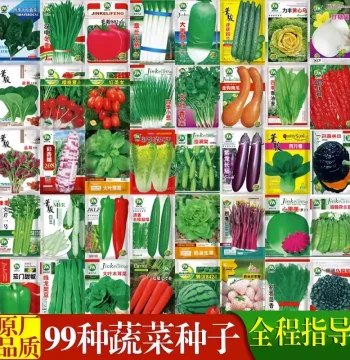 Complete Vegetable Seed Collection, Four-Season Sowing Including Radish, Coriander, Lettuce, Scallion, Garlic, Chili, and Cabbage Seeds