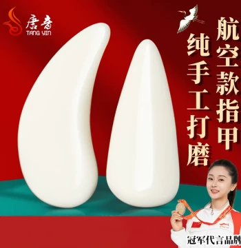 Guzheng Picks Tortoiseshell-Style Professional Performance