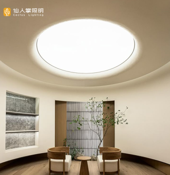 Cactus Lighting Soft Film Ceiling - Frameless Light-Transmitting Film Custom Ceiling for Home Indoor LED Lights