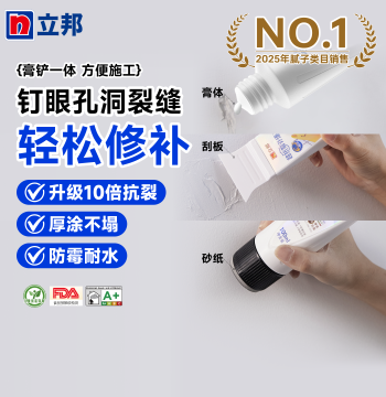 Nippon Paint Wall Repair Paste - White Filler for Nail Holes and Peeling Paint