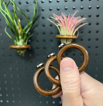 Magnetic Wooden Ring (3.8cm, Walnut Finish) for DIY Fridge Magnets, Photo Frames, and Air Plant Stands