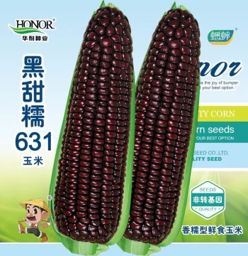 Hei Tian Nuo 631 Black Waxy Corn Seeds, Purple Sweet Corn Seeds for All Seasons by He Zhi Yuan