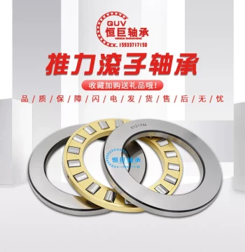Thrust Cylindrical Roller Bearing 811/500
