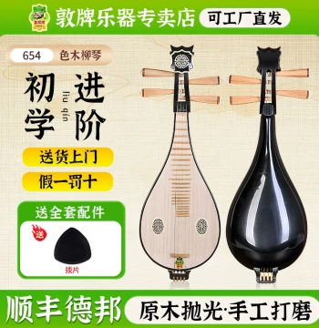 Dunhuang Brand 651/652/653/654 Liuqin Series – Professional Ethnic Instrument for Exams and Performance
