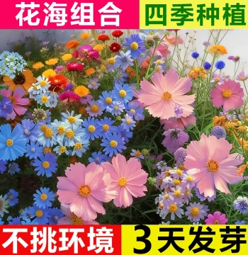 Wildflower Mix Seeds - All-Season Sowing, Easy-Grow Gesang Flowers for Pots and Gardens