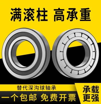Full Complement Cylindrical Roller Bearing Catalog - High Load Capacity, Inner Diameters NCF 15 20 25 30 35 40 50
