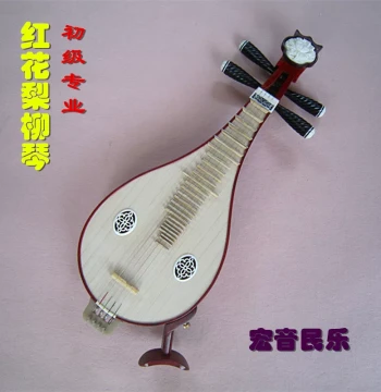 Professional Master-Crafted Hongmu Liuqin - Beginner to Pro Performance Instrument with Wax Polishing - Special Discount