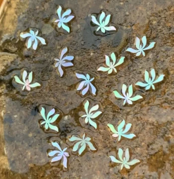 Orchid Mother-of-Pearl Inlay Sheets: White Butterfly Shell, Luminous Shell, Pearl Shell for Lacquerware and Art Embedding