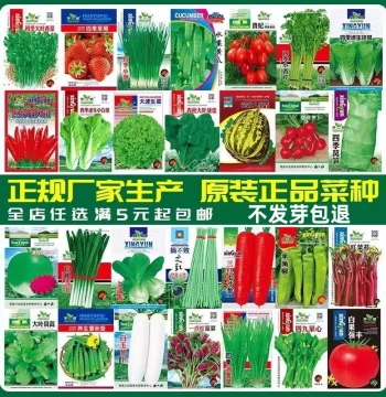 All-Season Vegetable Seeds for Pots, Balconies, and Gardens: Cucumber, Tomato, Lettuce, Greens – Easy to Plant