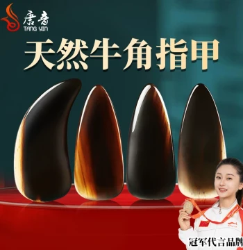 Guzheng Picks Natural Buffalo Horn Professional Grade