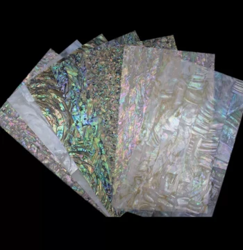 Jiasheng Art Supplies Natural Shell Pieces for Lacquer Painting, Abalone Mother-of-Pearl Inlay for Nail Art and Lacquer Embedding