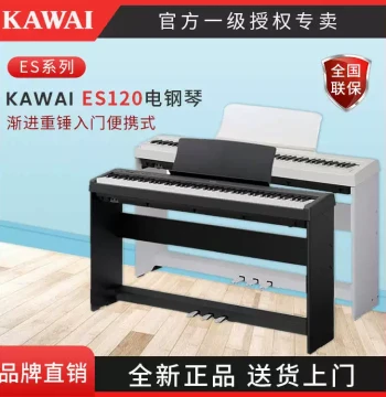 KAWAI New Electric Piano ES120, Entry-Level Beginner Portable Professional 88-Key Weighted Digital Piano by Kawai