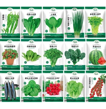 Four-Season Premium Vegetable Seed Package, Various Seeds and Seedlings including Lettuce, Spinach, Chives, Complete March Seed Collection