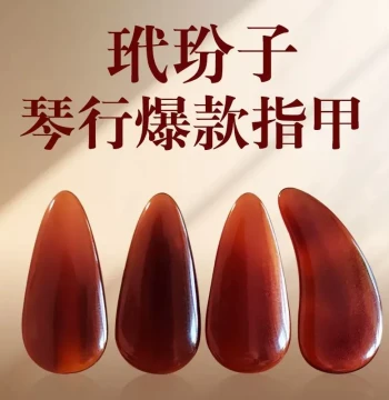 Guzheng Picks Tortoiseshell Pattern Double-sided Curved Design for Tremolo