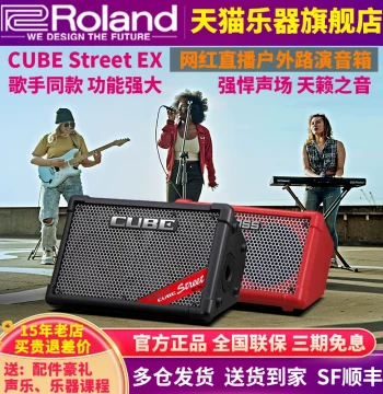 Roland EX Speaker for Outdoor Stage, Roadshow, Live Streaming, Electric Wind Instrument, Vocal, Guitar Sing-along, and Karaoke