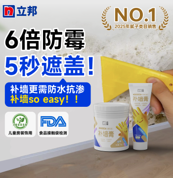 Nippon Paint Wall Repair Paste - Waterproof, Moisture-Proof, Mold-Resistant White Putty for Interior Home Repair