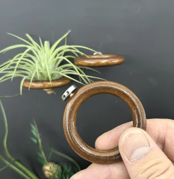 Natural Wood Style Magnetic Ring | DIY Fridge Magnet Decor | Air Plant Frame & Stand Base