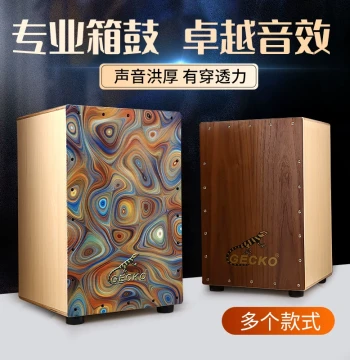 Gecko Cajon Drum | Wooden Box Percussion | Hand Drum & Sitting Drum for Kids | Electric-Acoustic Instrument